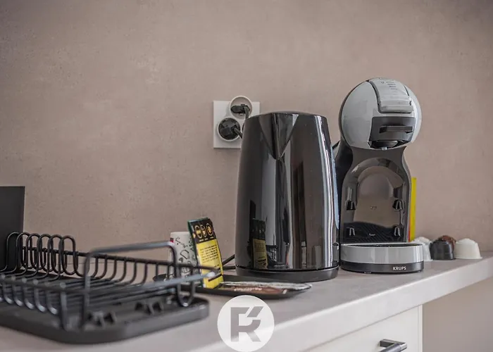 R'apparts Le Palazzo * גרנובל